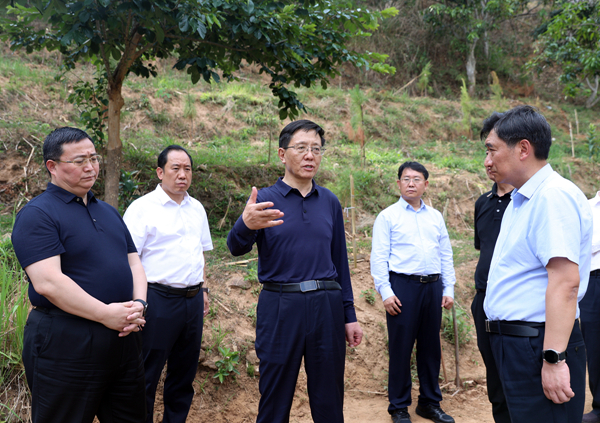 王予波赴临沧市现场督导中央生态环保督察通报问题整改时强调：严肃认真不折不扣抓好整改 精准科学依法管理林草资源1