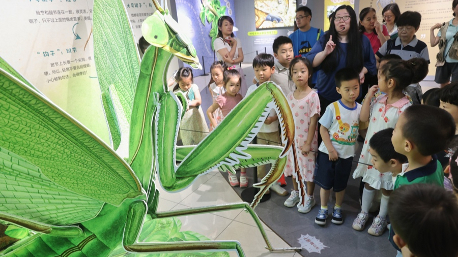 孩子们跟随策展人参观奇趣昆虫互动体验展。 资料图片 .jpg