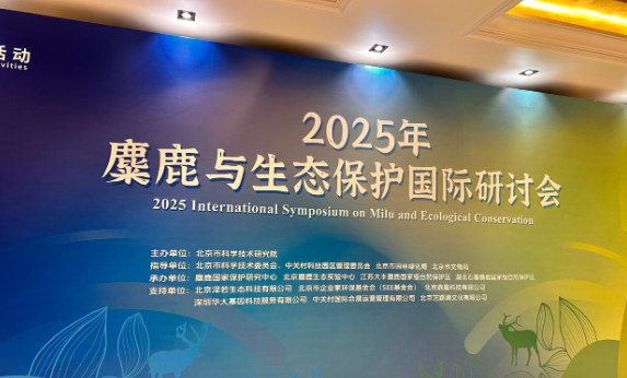 2025年麋鹿与生态保护国际研讨会召开 2025年麋鹿与生态保护国际研讨会召开